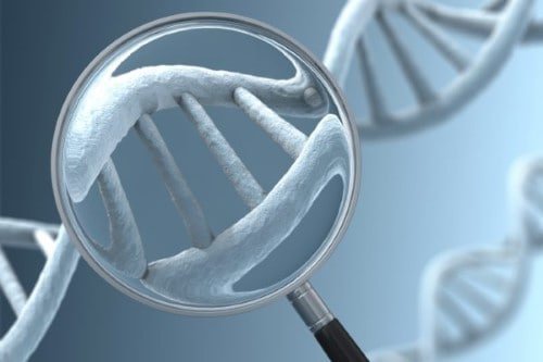 유전자 검사는 어디에 있습니까?