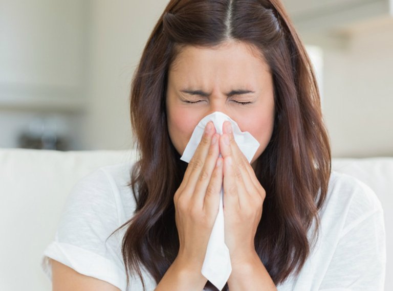 계절성 알레르기 비염