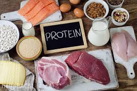 단백질이 풍부한 음식