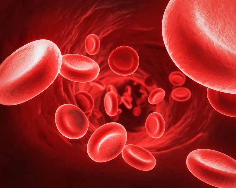 tế bào hồng cầu