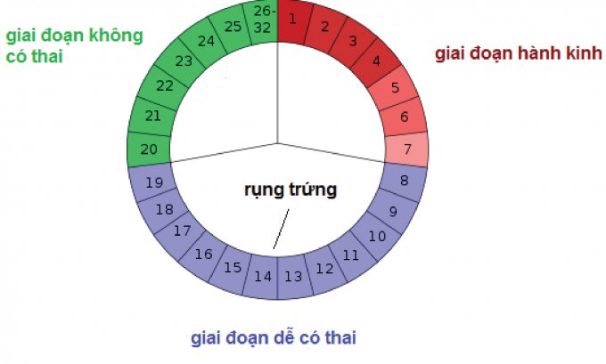 정확한 배란일을 결정하면 임신이 더 쉬워집니다