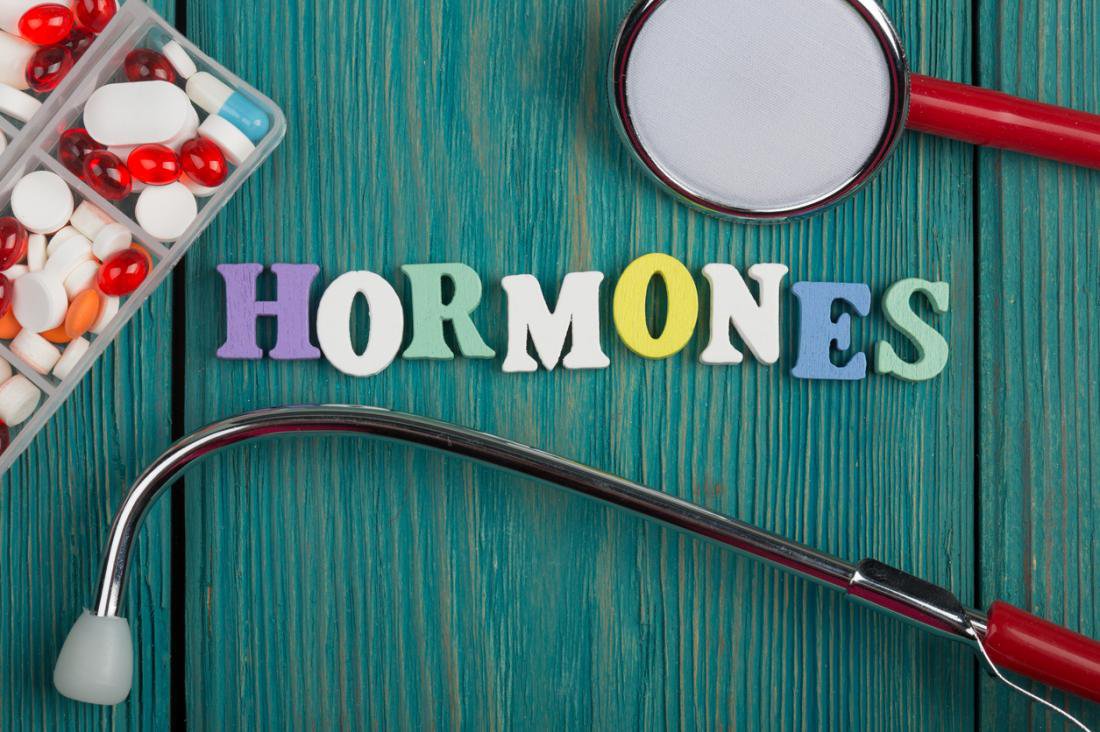 호르몬이란 무엇입니까?