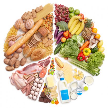 4가지 물질군은 단백질, 지방, 전분, 비타민, 미네랄