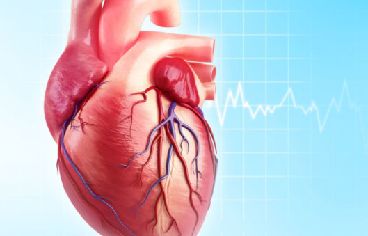 심혈관 재활이란 무엇입니까?